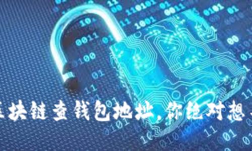 揭秘:如何通过区块链查钱包地址,你绝对想不到的操作方式!