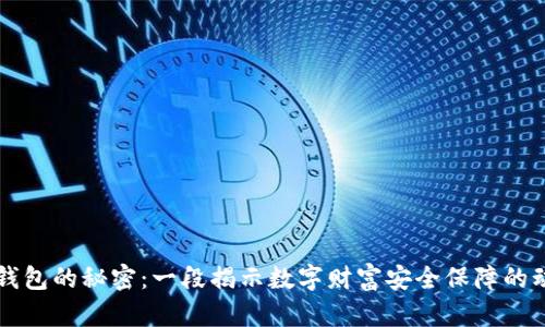 区块链钱包的秘密：一段揭示数字财富安全保障的动画旅程