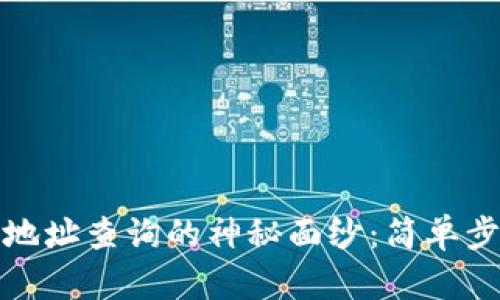 揭秘区块链钱包地址查询的神秘面纱：简单步骤教你轻松掌握