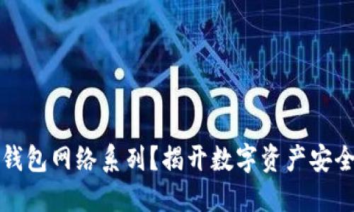 如何选择TP钱包网络系列?揭开数字资产安全的神秘面纱