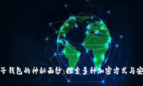 揭开电子钱包的神秘面纱：探索多种加密方式与安全之道