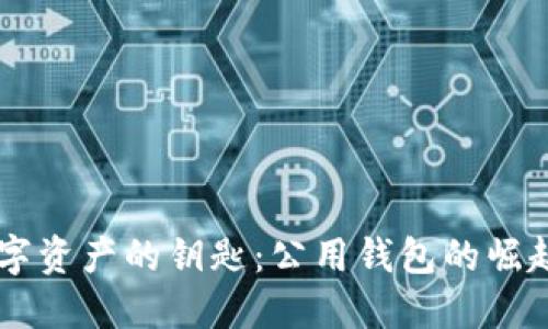 掌握全球数字资产的钥匙：公用钱包的崛起与未来展望