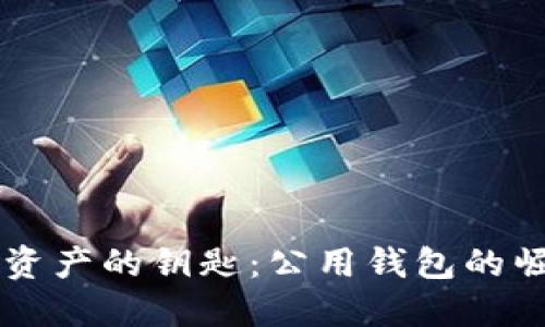 掌握全球数字资产的钥匙：公用钱包的崛起与未来展望