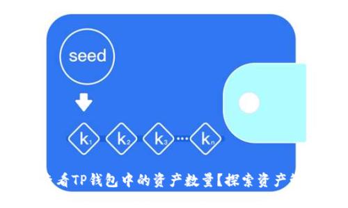 如何精准查看TP钱包中的资产数量?探索资产管理新方式!