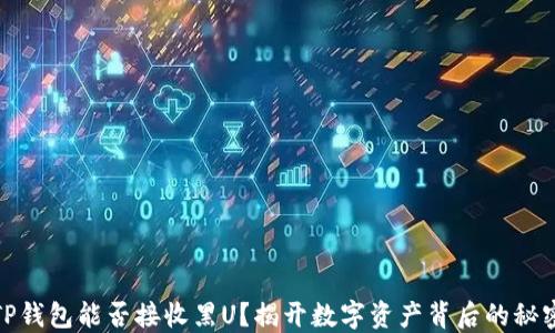 TP钱包能否接收黑U?揭开数字资产背后的秘密