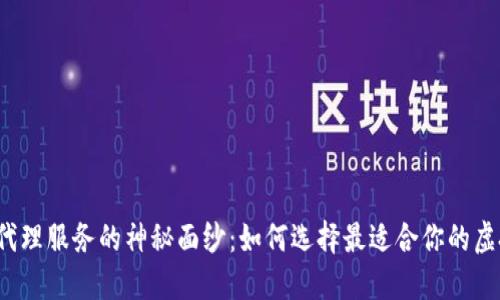 揭开区块链钱包代理服务的神秘面纱：如何选择最适合你的虚拟资产保护方案？