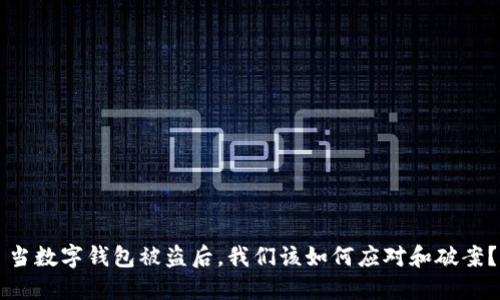 当数字钱包被盗后，我们该如何应对和破案？