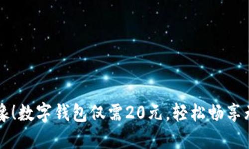 无需再犹豫!数字钱包仅需20元,轻松畅享无现金生活