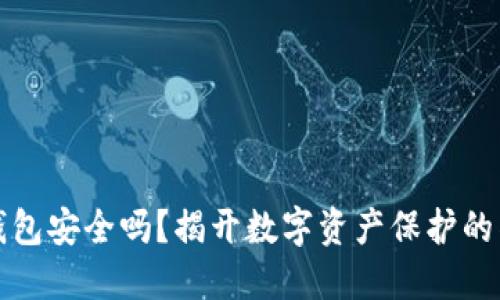 区块链钱包安全吗？揭开数字资产保护的神秘面纱