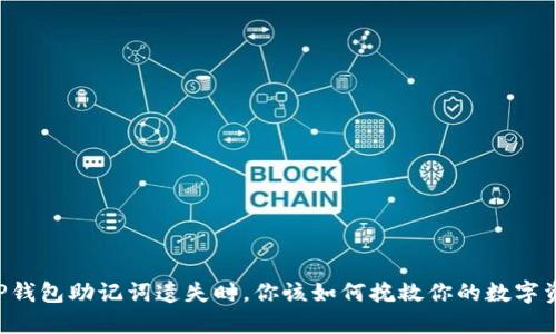 当TP钱包助记词遗失时,你该如何挽救你的数字资产?