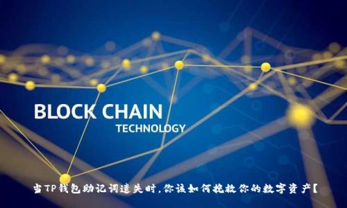 当TP钱包助记词遗失时,你该如何挽救你的数字资产?