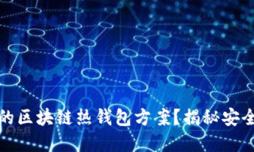 如何选择最适合你的区块链热钱包方案?揭秘安全与便捷的完美平衡