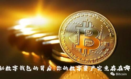 揭秘数字钱包的背后:你的数字资产究竟存在哪里?
