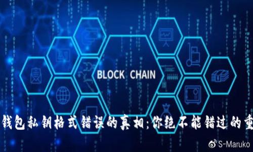 解密TP钱包私钥格式错误的真相:你绝不能错过的重要知识
