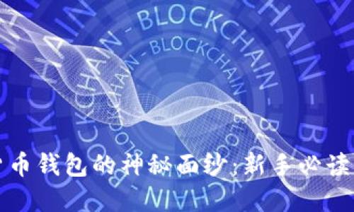 揭开数字货币钱包的神秘面纱:新手必读的入门指南