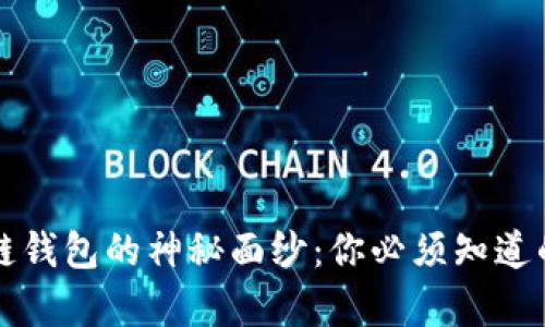 揭开区块链钱包的神秘面纱:你必须知道的原理解析