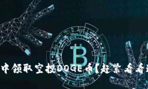 如何在TP钱包中领取空投DOGE币?赶紧看看这些实用技巧!