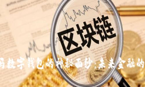 揭开巴拿马数字钱包的神秘面纱:未来金融的触手可及!