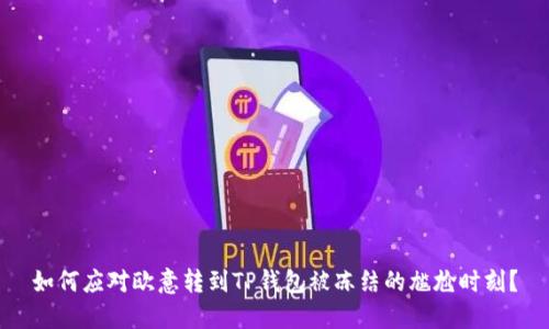 如何应对欧意转到TP钱包被冻结的尴尬时刻?