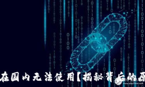   
为什么TP钱包在国内无法使用？揭秘背后的原因与解决办法