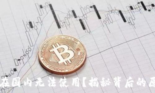   
为什么TP钱包在国内无法使用？揭秘背后的原因与解决办法
