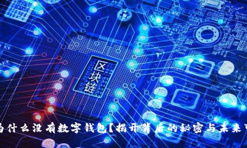 社保为什么没有数字钱包?揭开背后的秘密与未来可能性