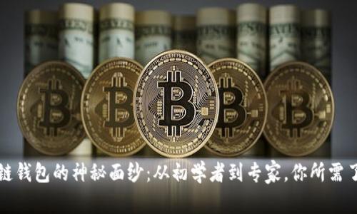 揭开区块链钱包的神秘面纱:从初学者到专家,你所需了解的一切
