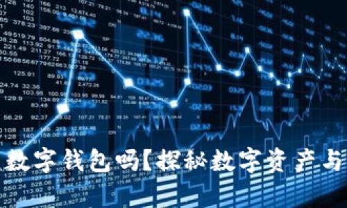 法院能冻结数字钱包吗？探秘数字资产与法律的交锋
