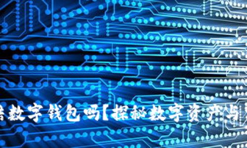 法院能冻结数字钱包吗？探秘数字资产与法律的交锋