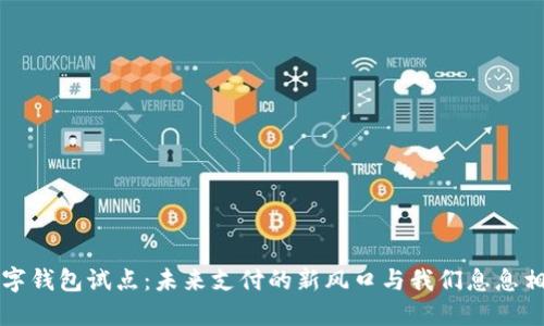 数字钱包试点:未来支付的新风口与我们息息相关