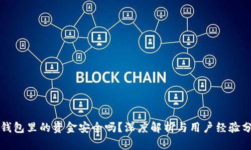 TP钱包里的资金安全吗?深度解析与用户经验分享