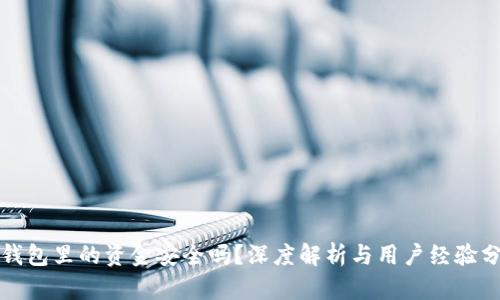 TP钱包里的资金安全吗?深度解析与用户经验分享