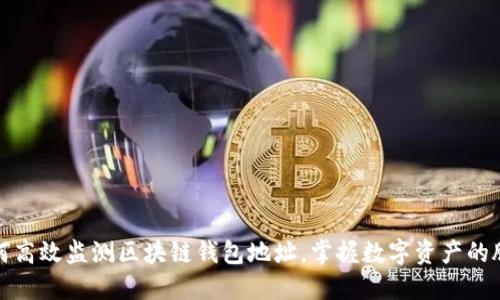 如何高效监测区块链钱包地址，掌握数字资产的脉动