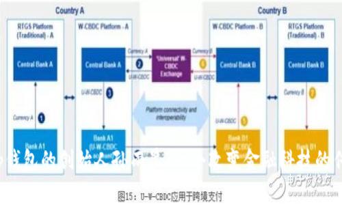 探秘t p钱包的创始人孙雨晨：一个改变金融科技的传奇故事