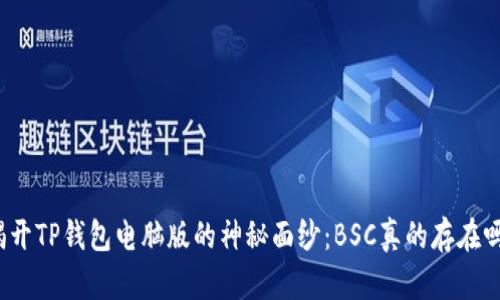 揭开TP钱包电脑版的神秘面纱:BSC真的存在吗?