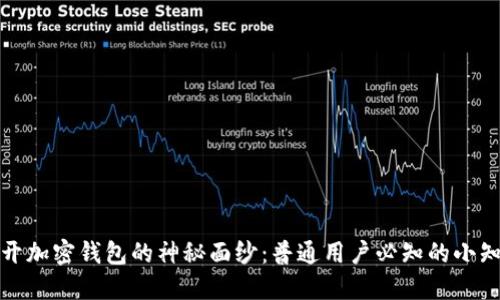 揭开加密钱包的神秘面纱:普通用户必知的小知识