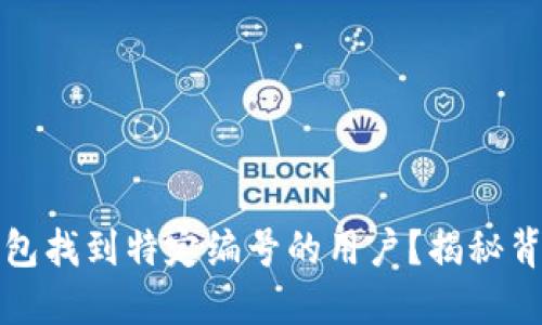 如何通过数字钱包找到特定编号的用户?揭秘背后的技巧与方法