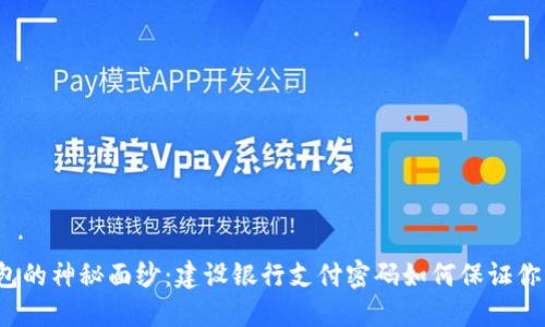 揭开数字钱包的神秘面纱:建设银行支付密码如何保证你的资金安全?