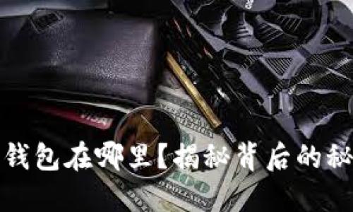 数字钱包的子钱包在哪里?揭秘背后的秘密与使用技巧