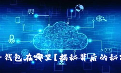 数字钱包的子钱包在哪里?揭秘背后的秘密与使用技巧