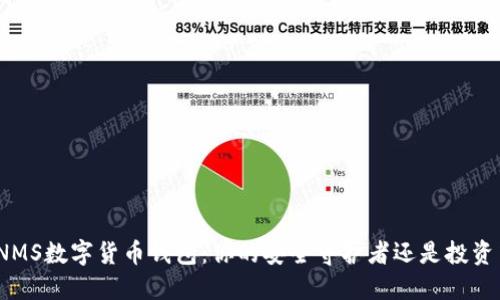 探索NMS数字货币钱包:你的安全守护者还是投资梦魇?