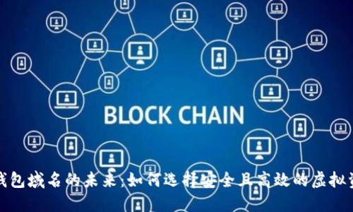 探索数字币钱包域名的未来:如何选择安全且高效的虚拟资产管理方式