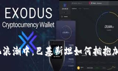 在数字化浪潮中,巴基斯坦如何拥抱加密钱包?