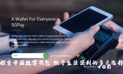 探索中国数字钱包:赋予生活便利的多元选择