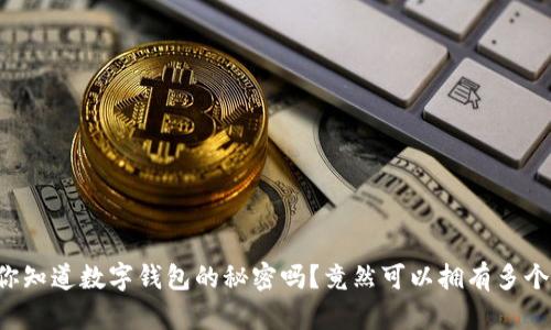 你知道数字钱包的秘密吗?竟然可以拥有多个!
