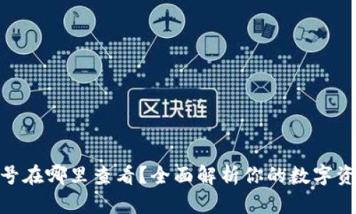 数字钱包编号在哪里查看？全面解析你的数字资产安全之道