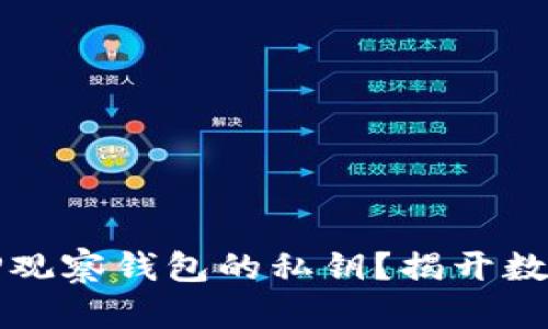 如何安全地找到TP观察钱包的私钥?揭开数字资产保护的秘密