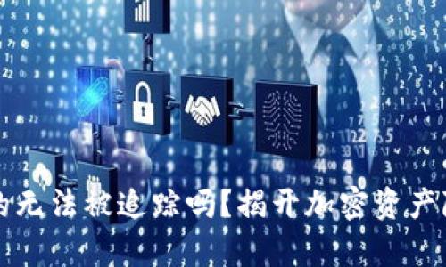 区块链钱包真的无法被追踪吗?揭开加密资产隐私的神秘面纱