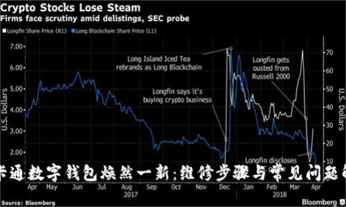 让卡通数字钱包焕然一新:维修步骤与常见问题解答