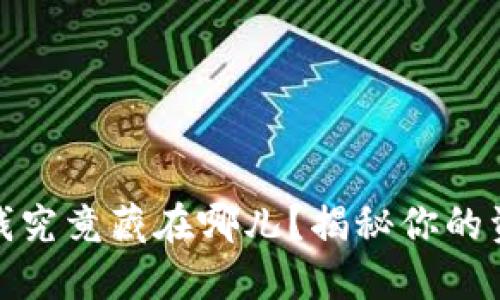 数字钱包里的钱究竟藏在哪儿?揭秘你的资金安全与管理